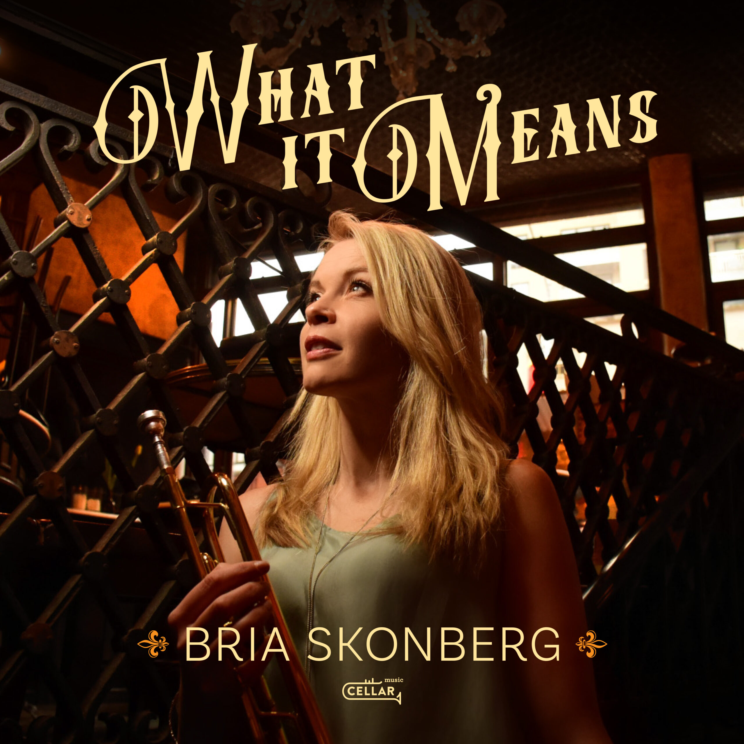 BRIA SKONBERG WHAT IT MEANS